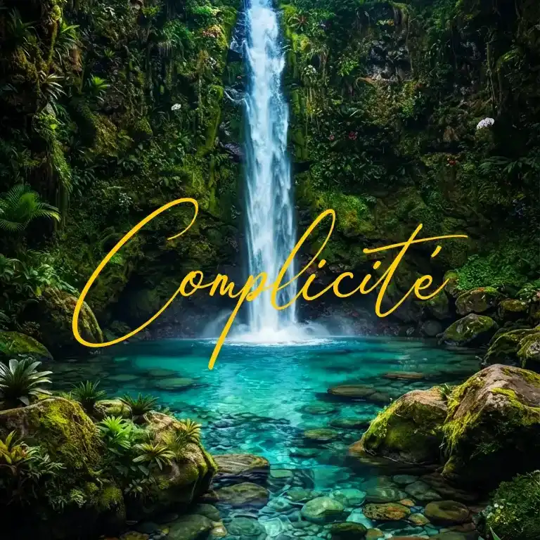 Complicité